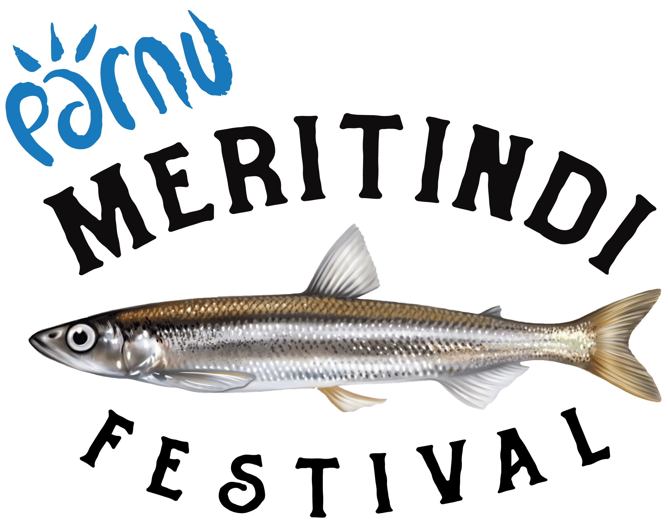 Pärnu Meritindi Festival 2025